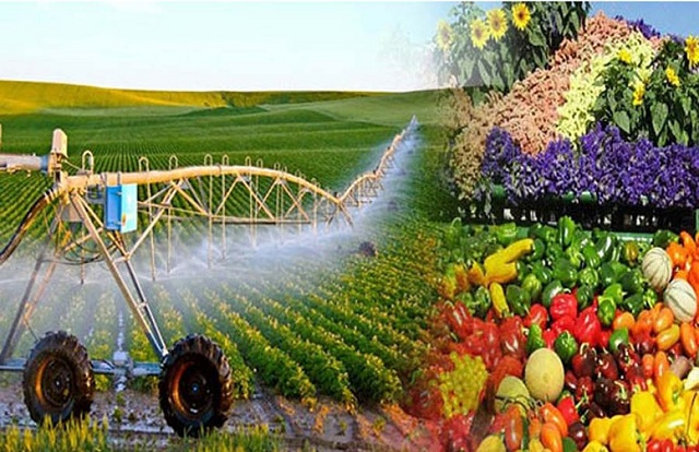 Sửa Luật Thuế GTGT: Khơi thông hoàn thuế, giảm áp lực vốn cho nông nghiệp và xuất khẩu