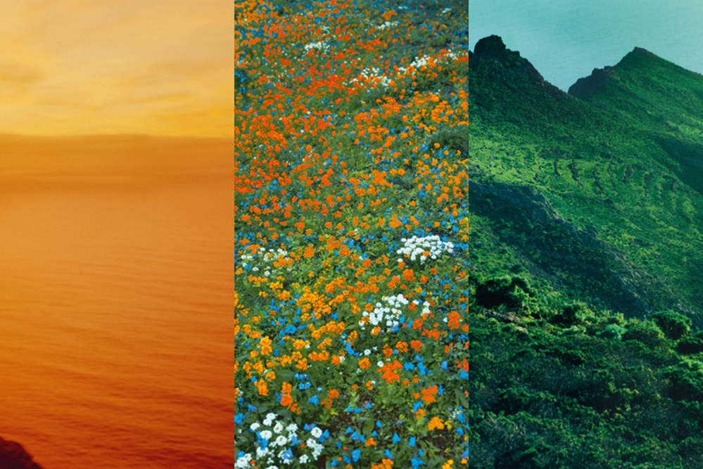 Top 3 mùi hương Elixir đình đám trong bộ sưu tập Landscape của Loewe