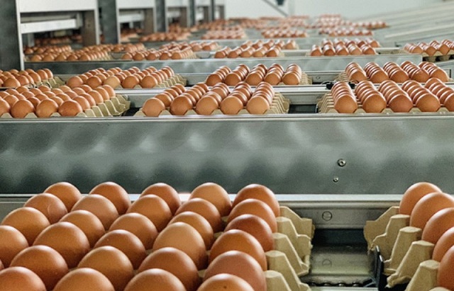 han-ngach-thue-quan-nhap-khau-muoi-trung-gia-cam-2026