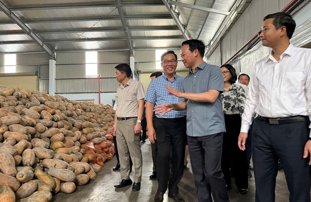 Xuất khẩu nhiều sản phẩm nông sản chủ lực tăng giá trị