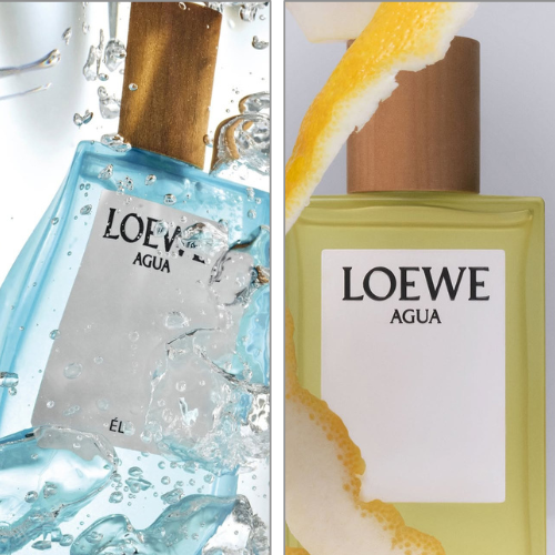 loewe-8-8-1